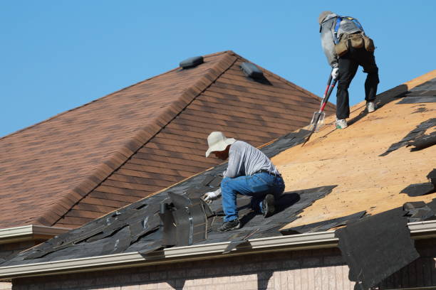 Best Metal Roofing Installation  in Trenton, GA