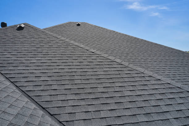 Best Skylight Installation and Repair  in Trenton, GA