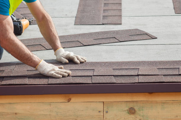 Best Roof Insulation Installation  in Trenton, GA